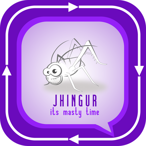 Jhingur private  anonymous chat messenger feedback