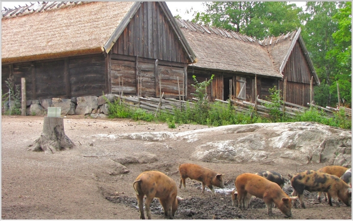 Nella Vecchia Fattoria di mauro56