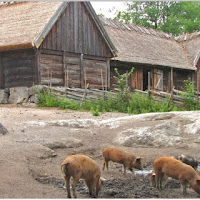 Nella Vecchia Fattoria di 