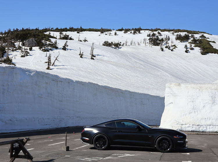 マスタング クーペのマスタング・ドライブ・岩手県八幡平・雪の回廊に関するカスタム事例の投稿画像3枚目