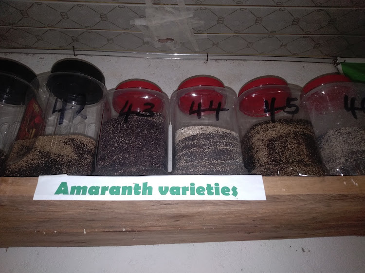 A display of traditional vegetable seeds