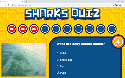 Sharks Quiz Game