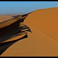 Nel deserto.. di 