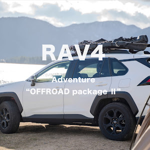 RAV4 MXAA54