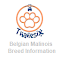 Item logo image for Belgian Malinois Breed Information - Thanesix