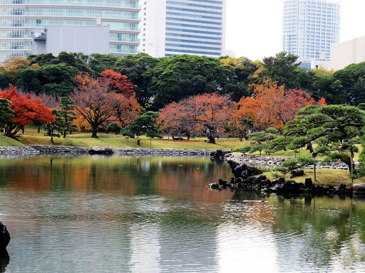 Wandering Tokyo by Land & Sea Japan 2017