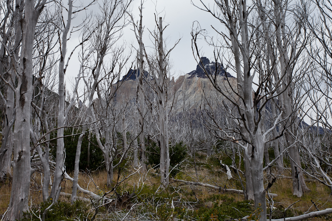 Патагония: Carretera Austral - Фицрой - Торрес-дель-Пайне. Треккинг, фото.