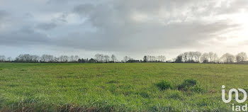 terrain à Saint-Christophe-du-Ligneron (85)