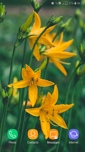 Yellow Flower Wallpaper
