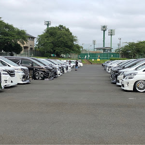 アルファード GGH20W