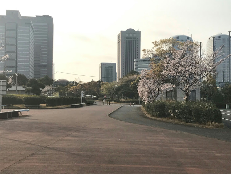 の投稿画像17枚目