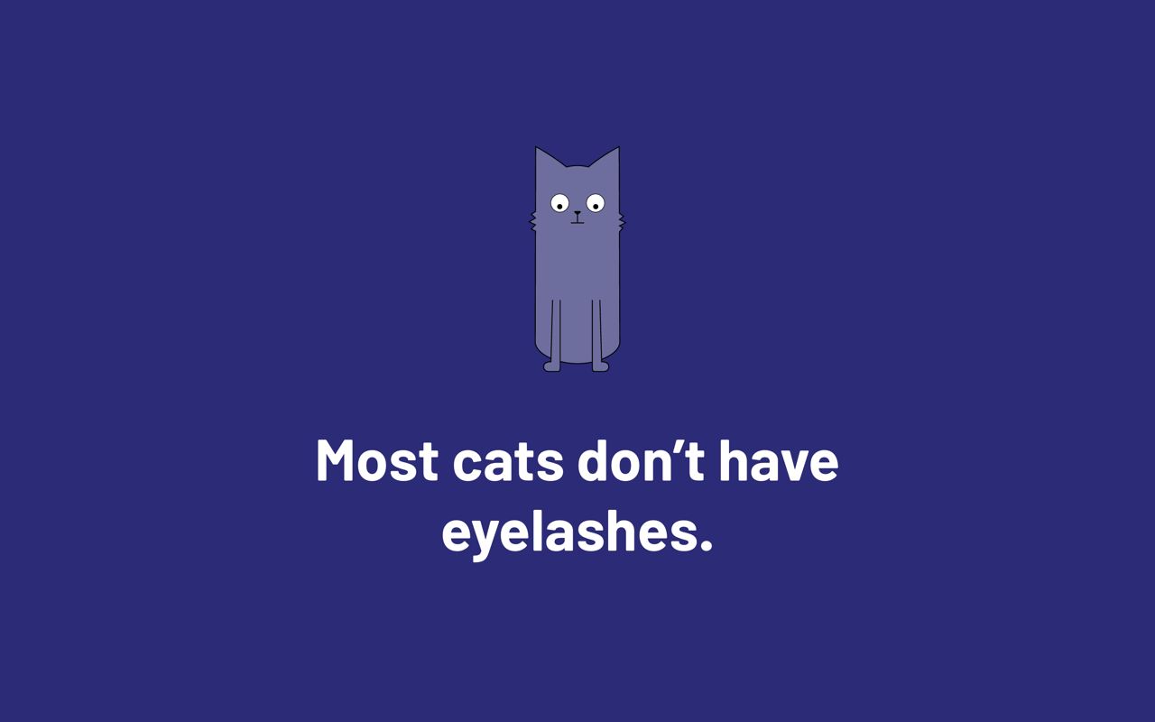 MeowMeowFacts Preview image 6