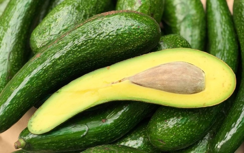 Mùa bơ thường bắt đầu từ tháng 03 đến khoảng tháng 07 Dương lịch hàng năm.
