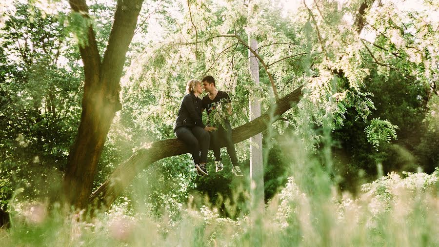 Fotografo di matrimoni Olya Oborina (zenjoffe). Foto del 16 giugno 2017