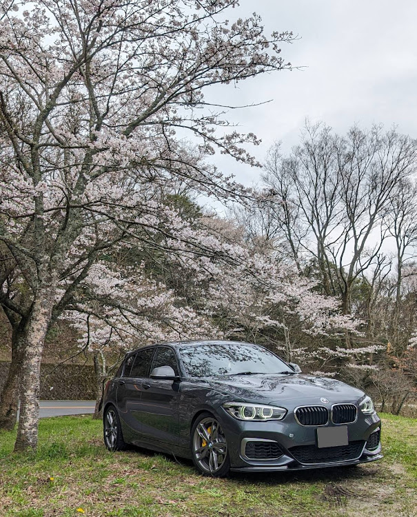 1シリーズ ハッチバックのいいね＆フォロー＆コメントありがとうございます・サクラと愛車・洗車が趣味・BMW・4月もよろしくお願い致します🌸に関するカスタム事例の投稿画像1枚目