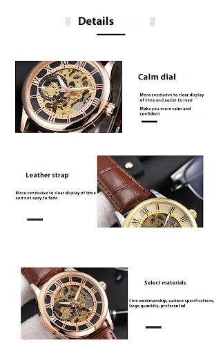 Title 8, Mens Mechanical Watch Roman Scale Waterproof F...