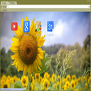 Miss Sunshine Chrome extension download