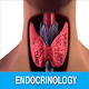 Download Endocrinology Guide For PC Windows and Mac 1.0