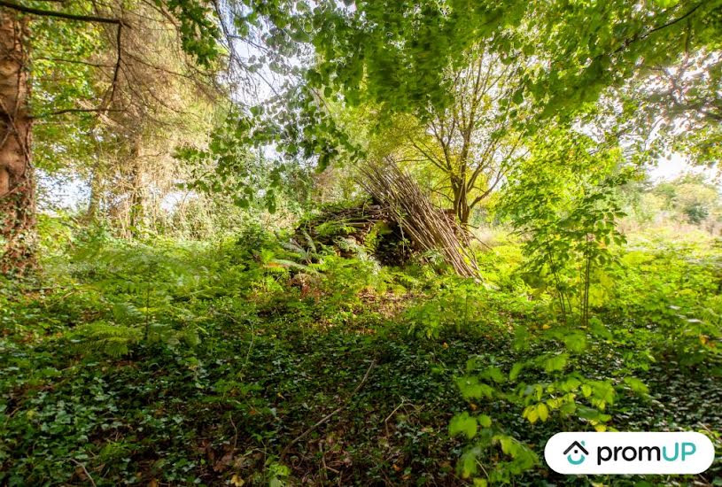  Vente Terrain à bâtir - à Drubec (14130) 