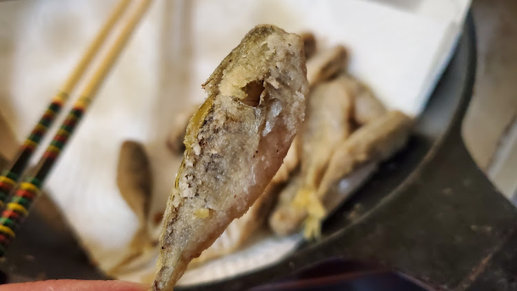 テラノの旧車イベント・四駆・#テラノLR50・魚釣り・豆アジに関するカスタム事例の投稿画像23枚目
