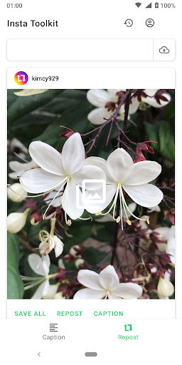 Downloader and Repost Photo  Video for Instagram