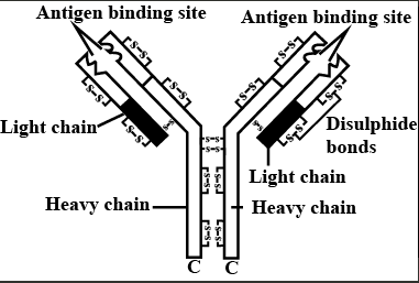 Solution Image