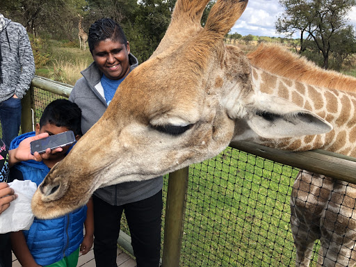 New & Improved Lions Park South Africa 2018