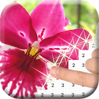 Flower Garden Color By Number Full Flower Images