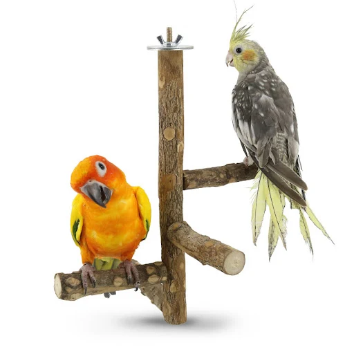 Natural Wood Bird Branch Stand Perches Pet Parakeet Budgie Hanging Play Toy Bird Cage Parrot Wooden Desk Holder Perches 