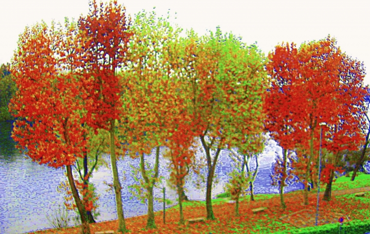 Colori d'autunno di photo_skeggia