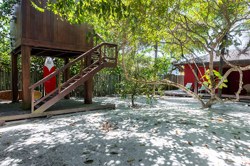 House with garden 5