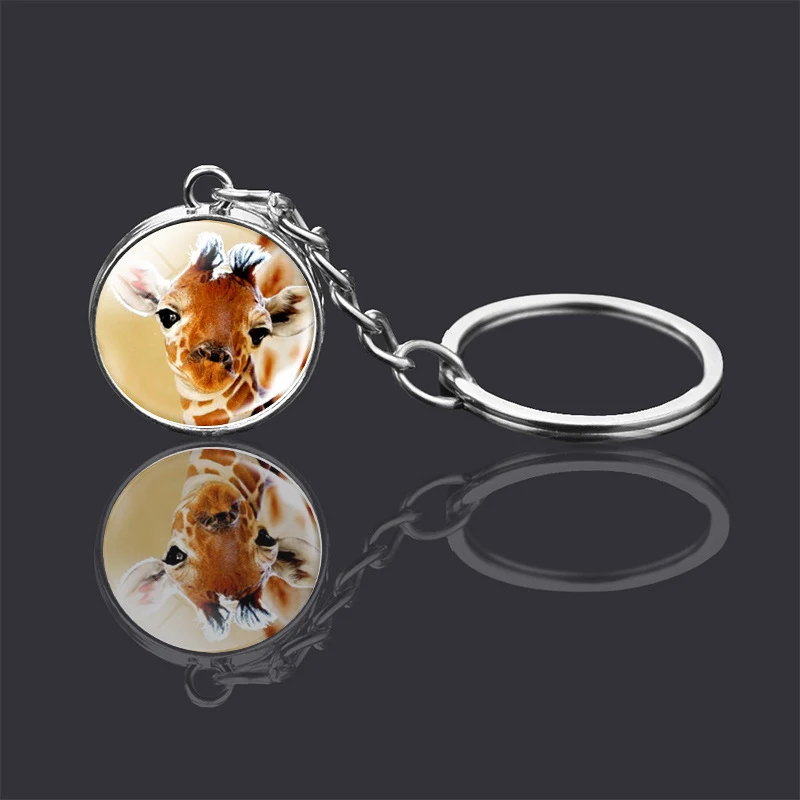 images slider number - 7