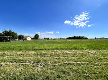 terrain à Blaye (33)