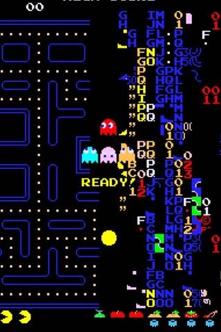 Guide for Pac Man 256