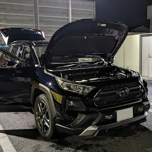 RAV4 MXAA54