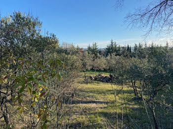 terrain à Flayosc (83)