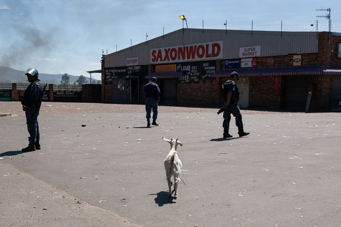 During a quiet break, a goat walks nonchalantly past the police on October 18 2018