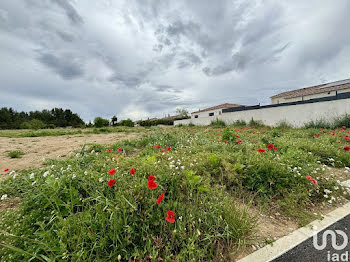 terrain à Canet (11)