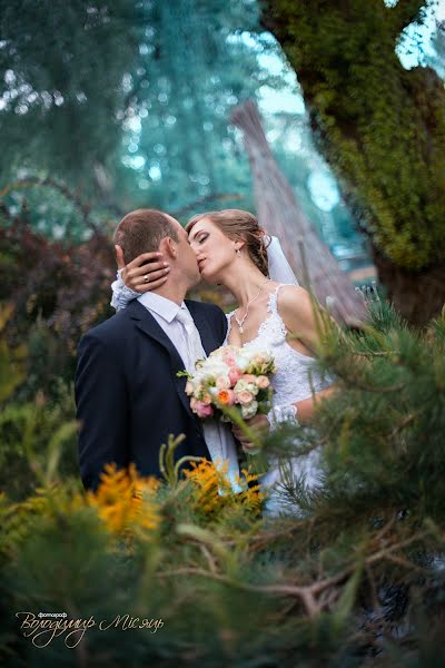Nhiếp ảnh gia ảnh cưới Vladimir Misyac (misyatsv). Ảnh của 11 tháng 5 2015