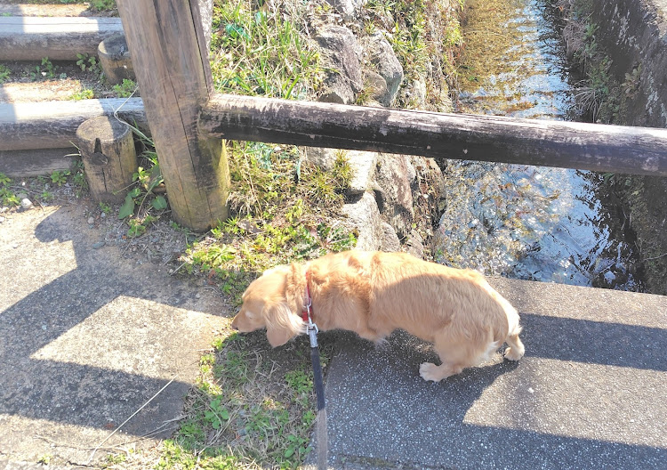 キャリイトラックの陸運局・納車引き渡し・奈良県・明日香村・焼きもちに関するカスタム事例の投稿画像14枚目