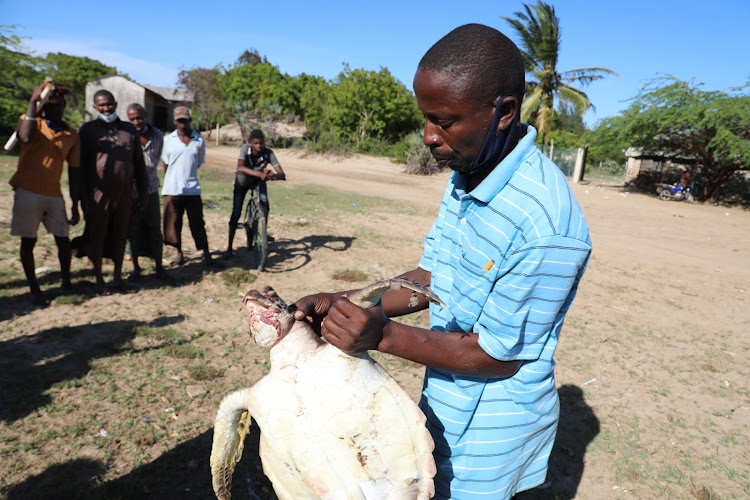 Awadh Mbarak Hassan, a member of Kipini Beach Management Unit, holds the dead turtle that was found on the shores of the Indian ocean in Kipini, Tana River.