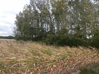 terrain à Saint-georges-sur-la-pree (18)