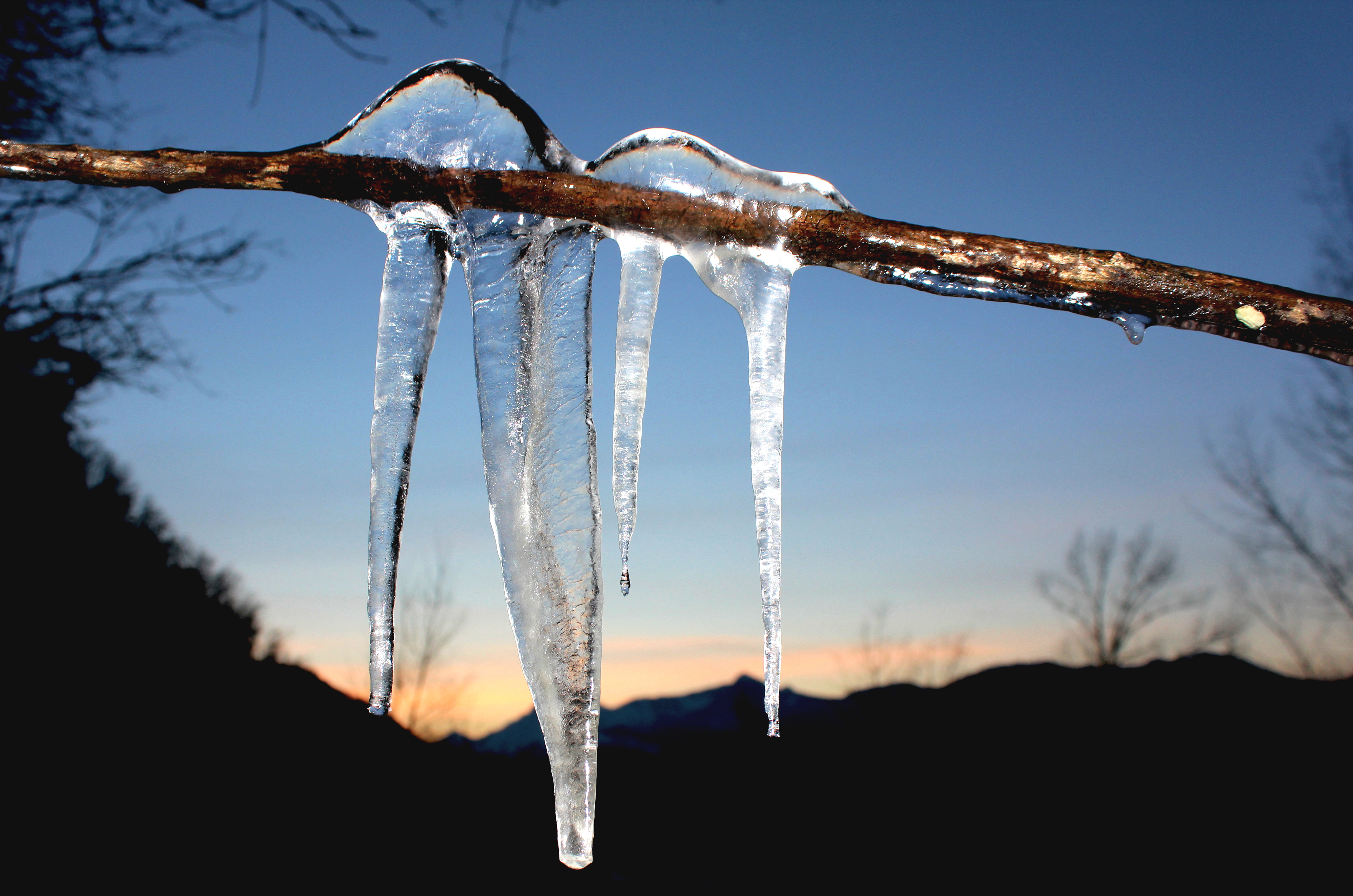 Glaciale. di Naldina Fornasari