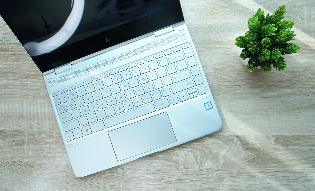 This image shows the HP laptop with a artificial plant tree in the wooden desk.