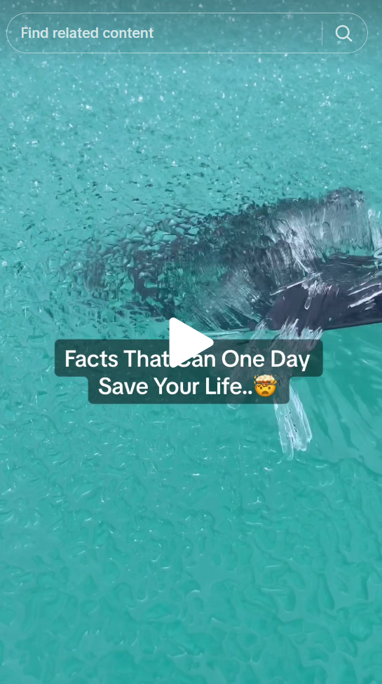 A random social media video with some texts saying "facts that can one day save your life"