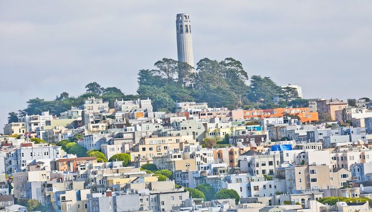 View of Coit Tower and surrounding neighborhood in San Francisco