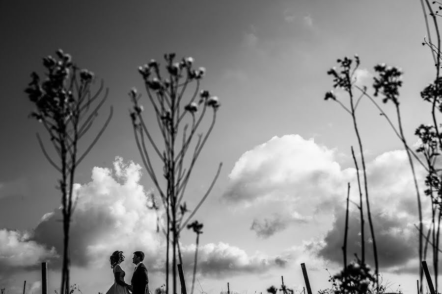 Fotografo di matrimoni Natalya Protopopova (natprotopopova). Foto del 15 novembre 2017