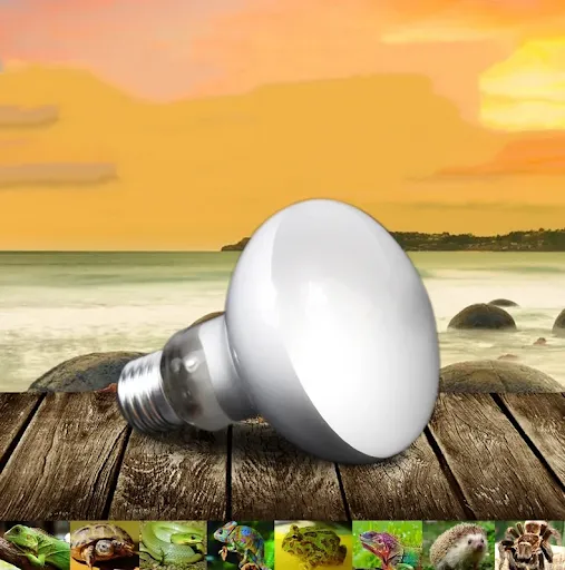 images slider number - 4