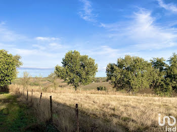 terrain à Bonrepos-Riquet (31)