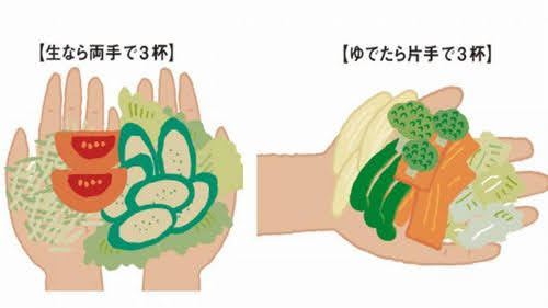 1/2日分の野菜